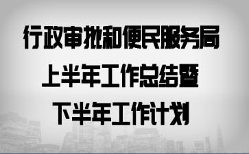 行政审批和便民服务局上半年工作总结暨下半年工作计划
