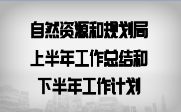自然资源和规划局上半年工作总结和下半年工作计划