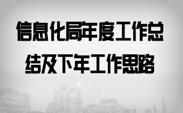 信息化局年度工作总结及下年工作思路