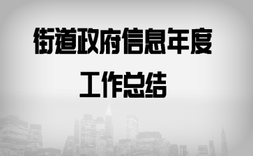 街道政府信息年度工作总结