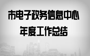 市电子政务信息中心年度工作总结