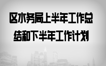 区水务局上半年工作总结和下半年工作计划