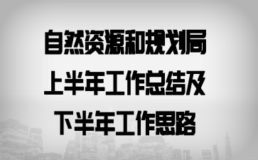 ��Ȼ��Դ�͹滮���ϰ��깤���ܽἰ�°��깤��˼·