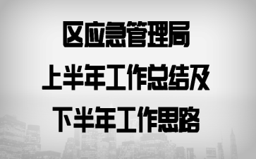 区应急管理局上半年工作总结及下半年工作思路