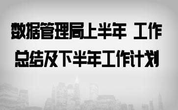 数据管理局上半年 工作总结及下半年工作计划