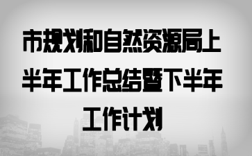 市规划和自然资源局上半年工作总结暨下半年工作计划