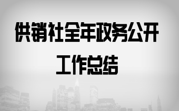 供销社全年政务公开工作总结
