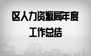区人力资源局年度工作总结
