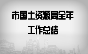 市国土资源局全年工作总结