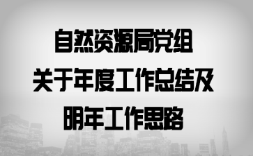 自然资源局党组关于年度工作总结及明年工作思路