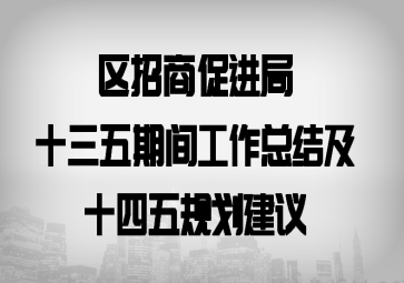 区招商促进局十三五期间工作总结及十四五规划建议