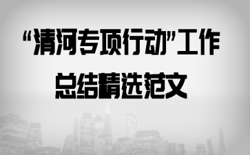 “清河专项行动”工作总结精选范文