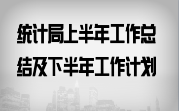 统计局上半年工作总结及下半年工作计划