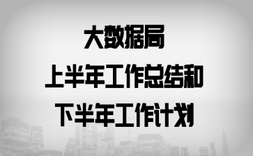 大数据局上半年工作总结和下半年工作计划
