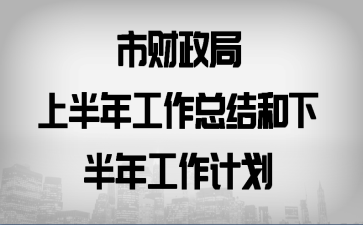 市财政局上半年工作总结和下半年工作计划
