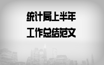 统计局上半年工作总结范文