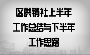 区供销社上半年工作总结与下半年工作思路