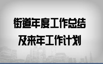 街道年度工作总结及来年工作计划