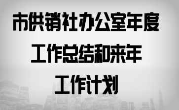 市供销社办公室年度工作总结和来年工作计划