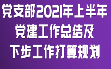 ��֧��2021���ϰ��굳�������ܽἰ�²���������滮