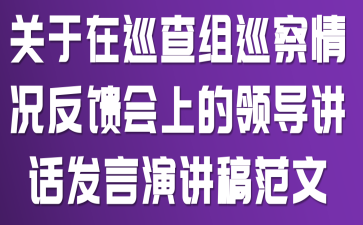 ������Ѳ����Ѳ������������ϵ��쵼���������ݽ��巶��