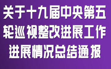 关于十九届中央第五轮巡视整改进展工作进展情况总结通报