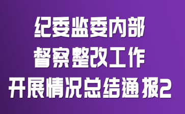 纪委监委内部督察整改工作开展情况总结通报2