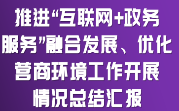 推进“互联网+政务服务”融合发展、优化营商环境工作开展情况总结汇报