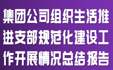 ���Ź�˾��֯�����ƽ�֧���淶�����蹤����չ����ܽᱨ��