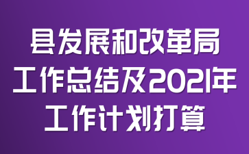 县发展和改革局工作总结及2021年工作计划打算