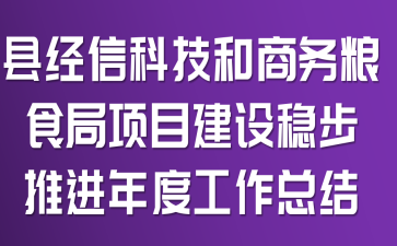 县经信科技和商务粮食局项目建设稳步推进年度工作总结
