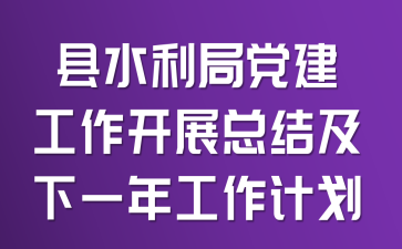 县水利局党建工作开展总结及下一年工作计划