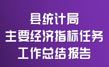 县统计局主要经济指标任务工作总结报告