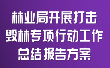 ��ҵ�ֿ�չ�������ר���ж������ܽᱨ�淽��