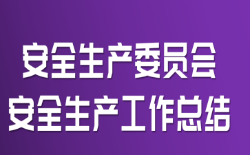 安全生产委员会安全生产工作总结