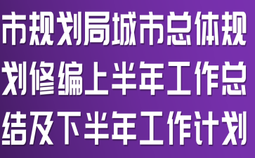 市规划局城市总体规划修编上半年工作总结及下半年工作计划