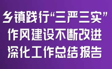 乡镇践行“三严三实”,作风建设不断改进深化工作总结报告