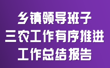 乡镇领导班子三农工作有序推进工作总结报告