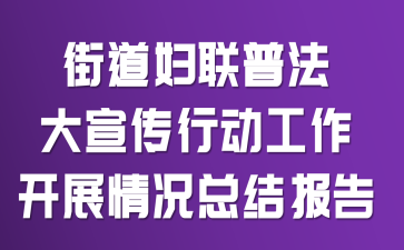 街道妇联普法大宣传行动工作开展情况总结报告