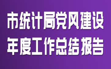 市统计局党风建设年度工作总结报告