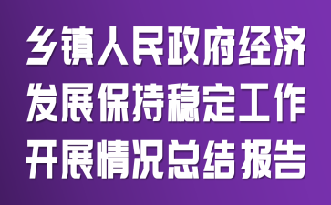 乡镇人民政府经济发展保持稳定工作开展情况总结报告