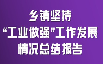 乡镇坚持“工业做强”工作发展情况总结报告