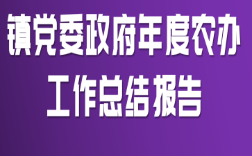 镇党委政府年度农办工作总结报告