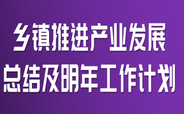 乡镇推进产业发展总结及明年工作计划