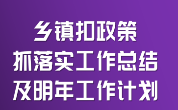 乡镇扣政策抓落实工作总结及明年工作计划