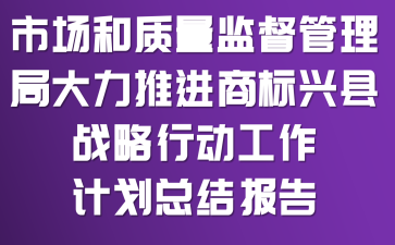 市场和质量监督管理局大力推进“商标兴县”战略行动工作计划总结报告