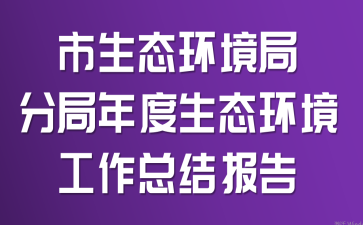 市生态环境局分局年度生态环境工作总结报告