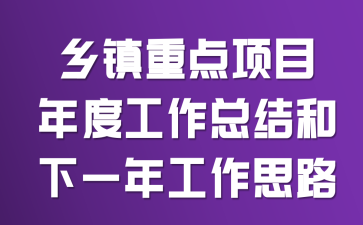 乡镇重点项目年度工作总结和下一年工作思路