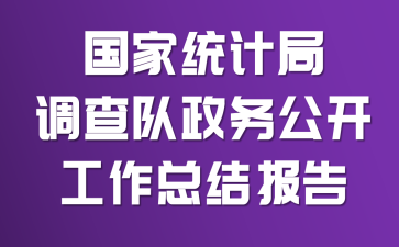 国家统计局调查队政务公开工作总结报告