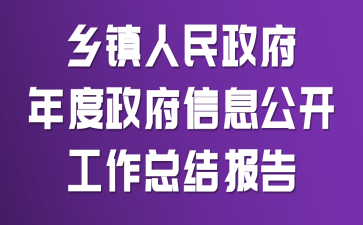 乡镇人民政府年度政府信息公开工作总结报告